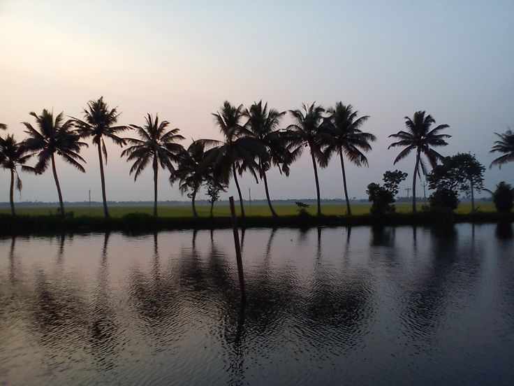 Kuttanad