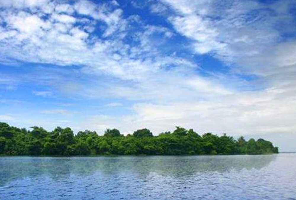 Pathiramanal Island