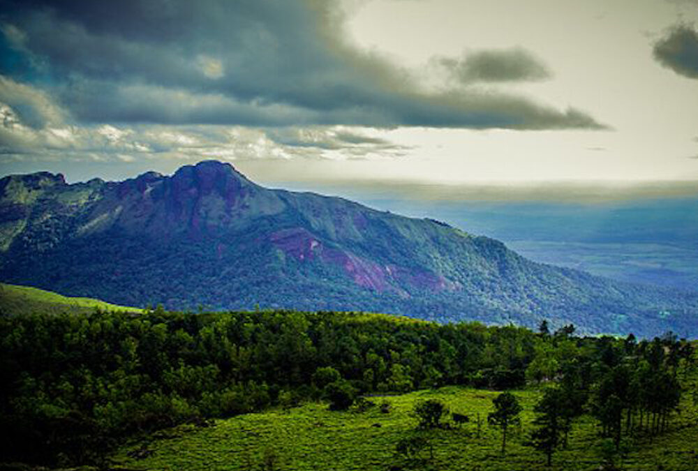 Ponmudi Hills