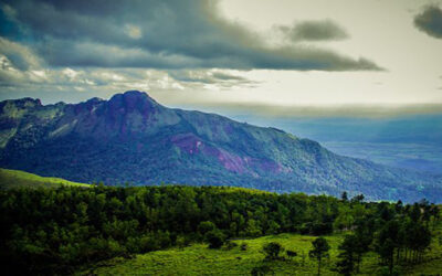 Ponmudi Hills