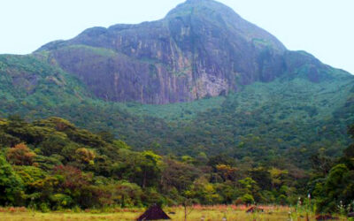 Agasthyakoodam