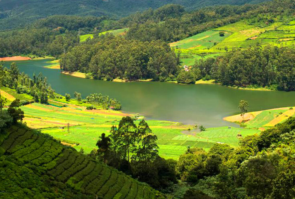 Nilgiri Hills