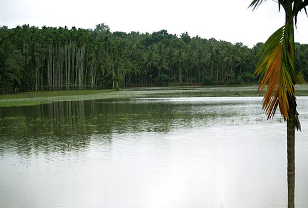 Manjeri