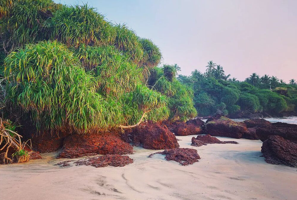 Meenkunnu Beach