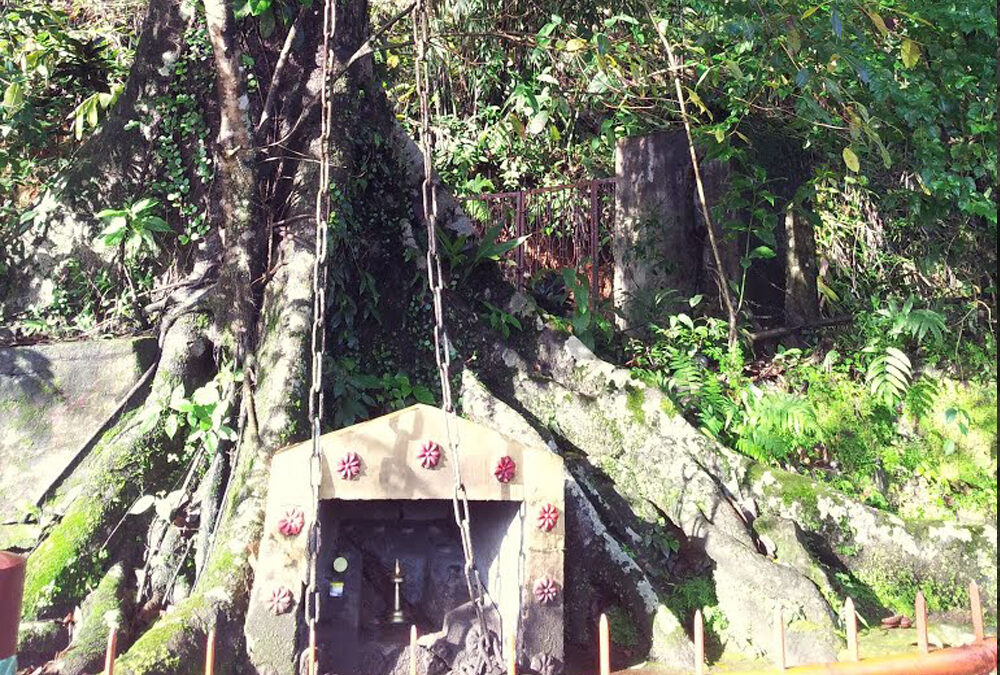 Chain Tree