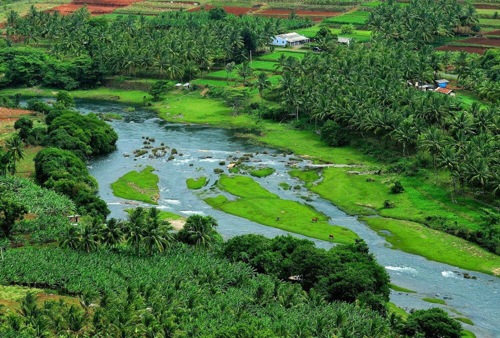 Attappadi Tribal Village