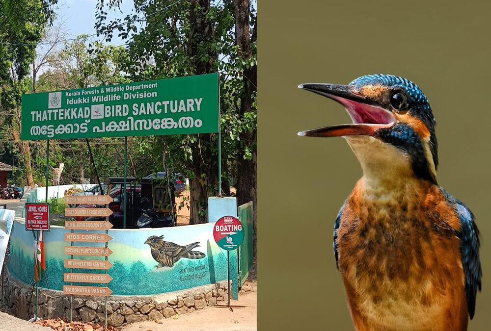 Thattekad Bird Sanctuary