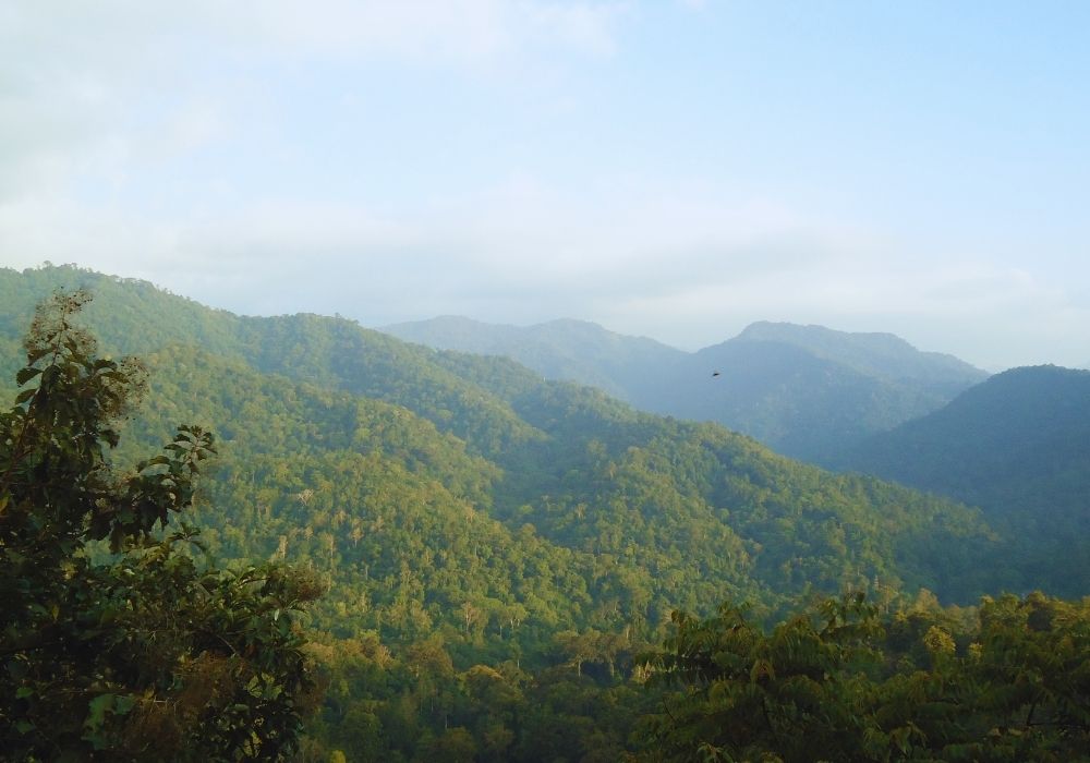 Sabarimala Region – Sacred Pilgrimage Heart of Kerala